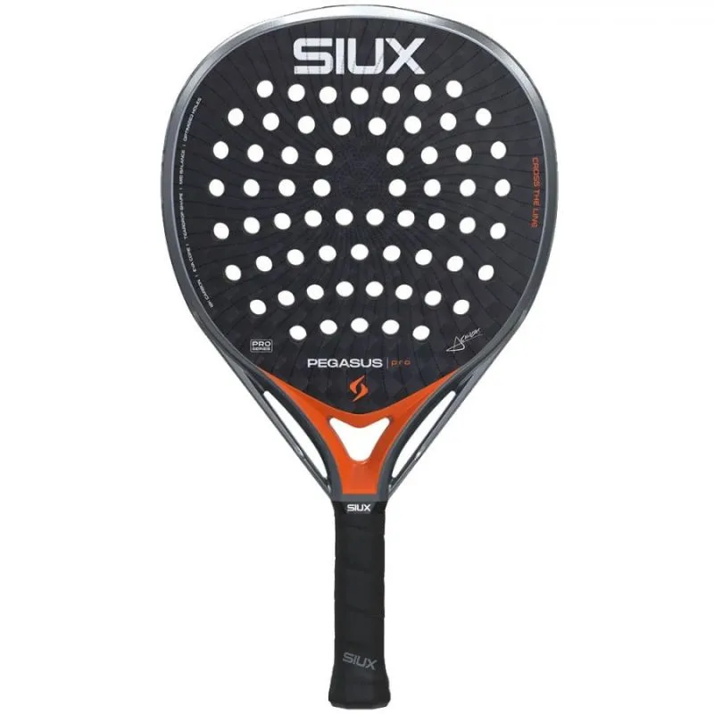 Siux Pegasus Pro, photo 1 of 3